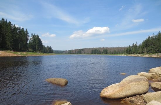 Oderteich im Harz