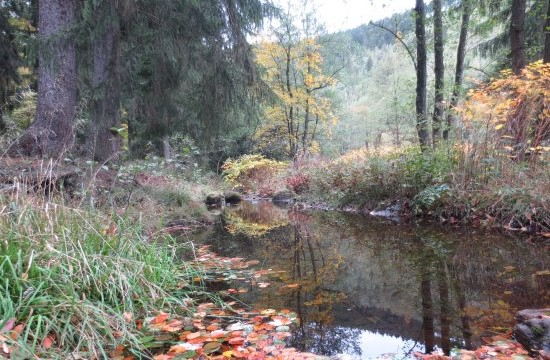 Oker bei Goslar