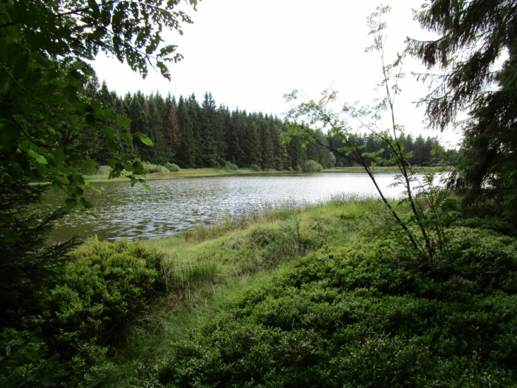 Oberharzer Teiche Angeln im Wasseregal Angeln im Harz
