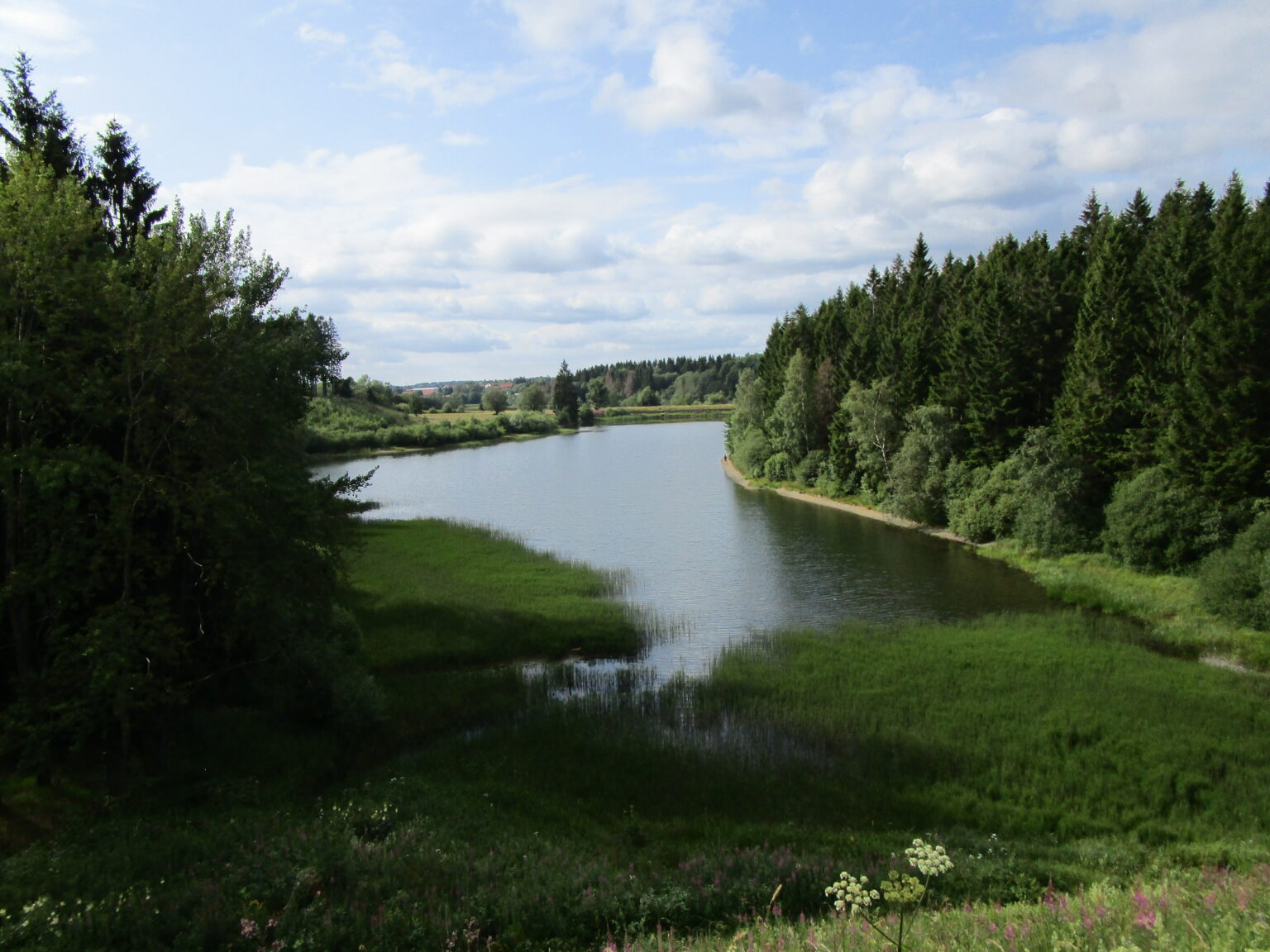 Oberharzer Teiche Angeln im Wasseregal Angeln im Harz