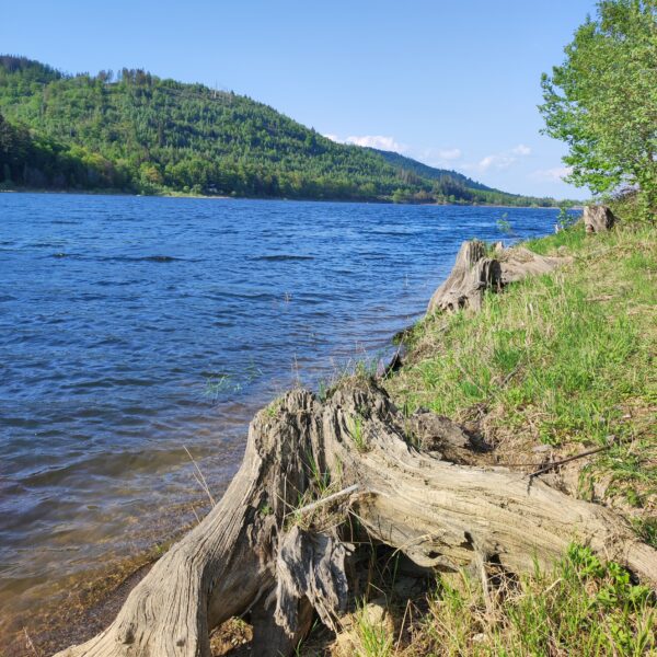 Innerstestausee