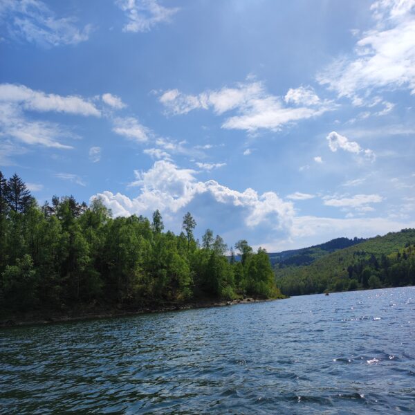 Innerstestausee