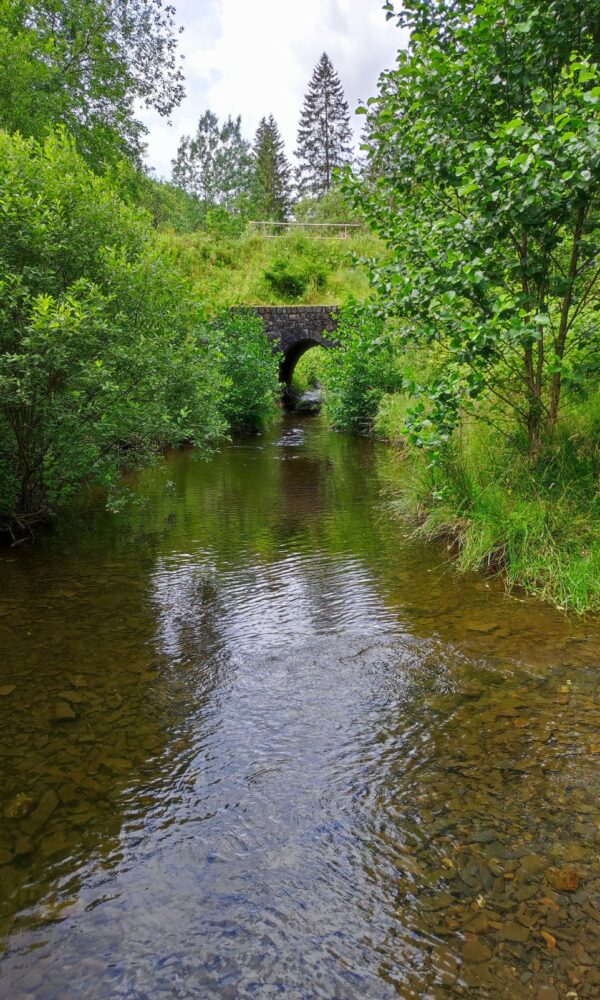 Oker bei Schulenberg