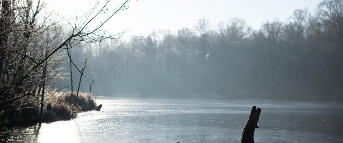 Ein Teich, dahinter Bäume ohne Blätter