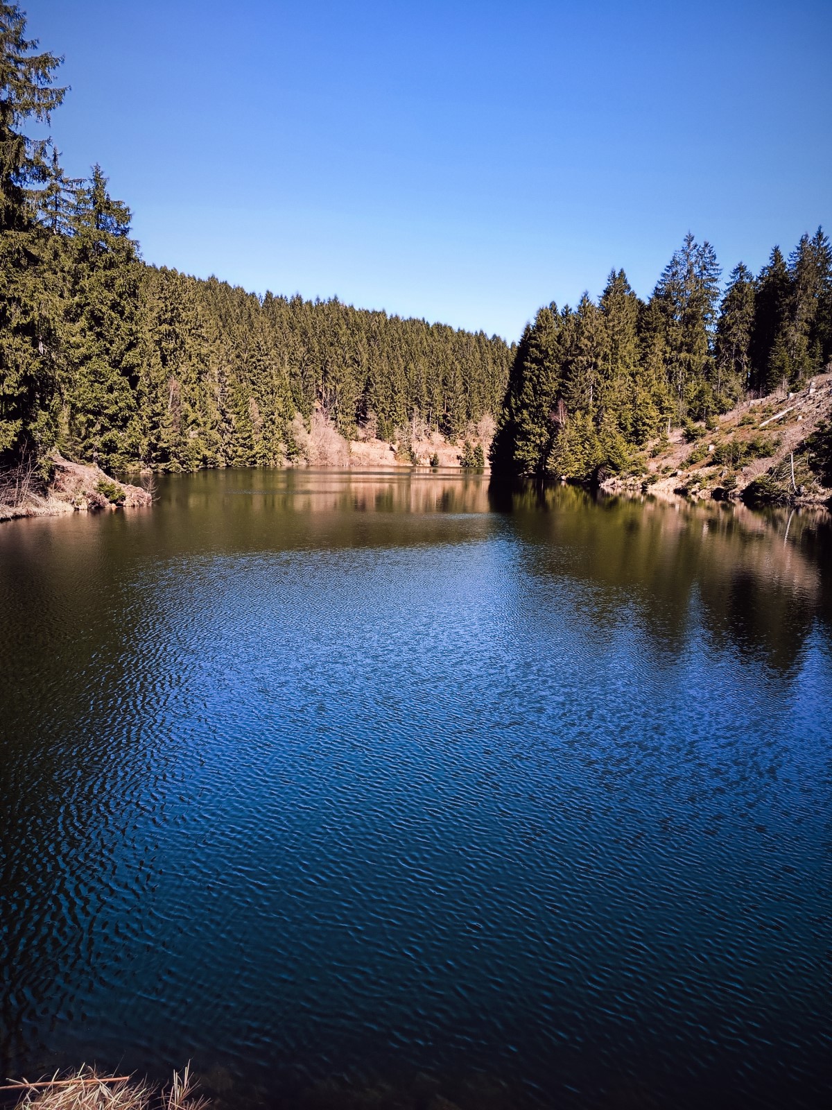 Der Untere Grumbacher Teich