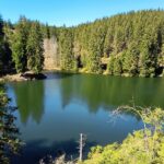 Ein Teich umrahmt von Tannen