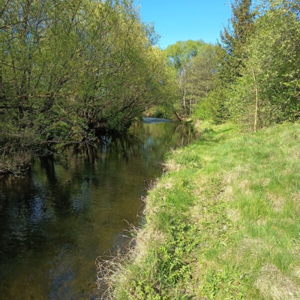 Blick auf die Oker bei Vienenburg
