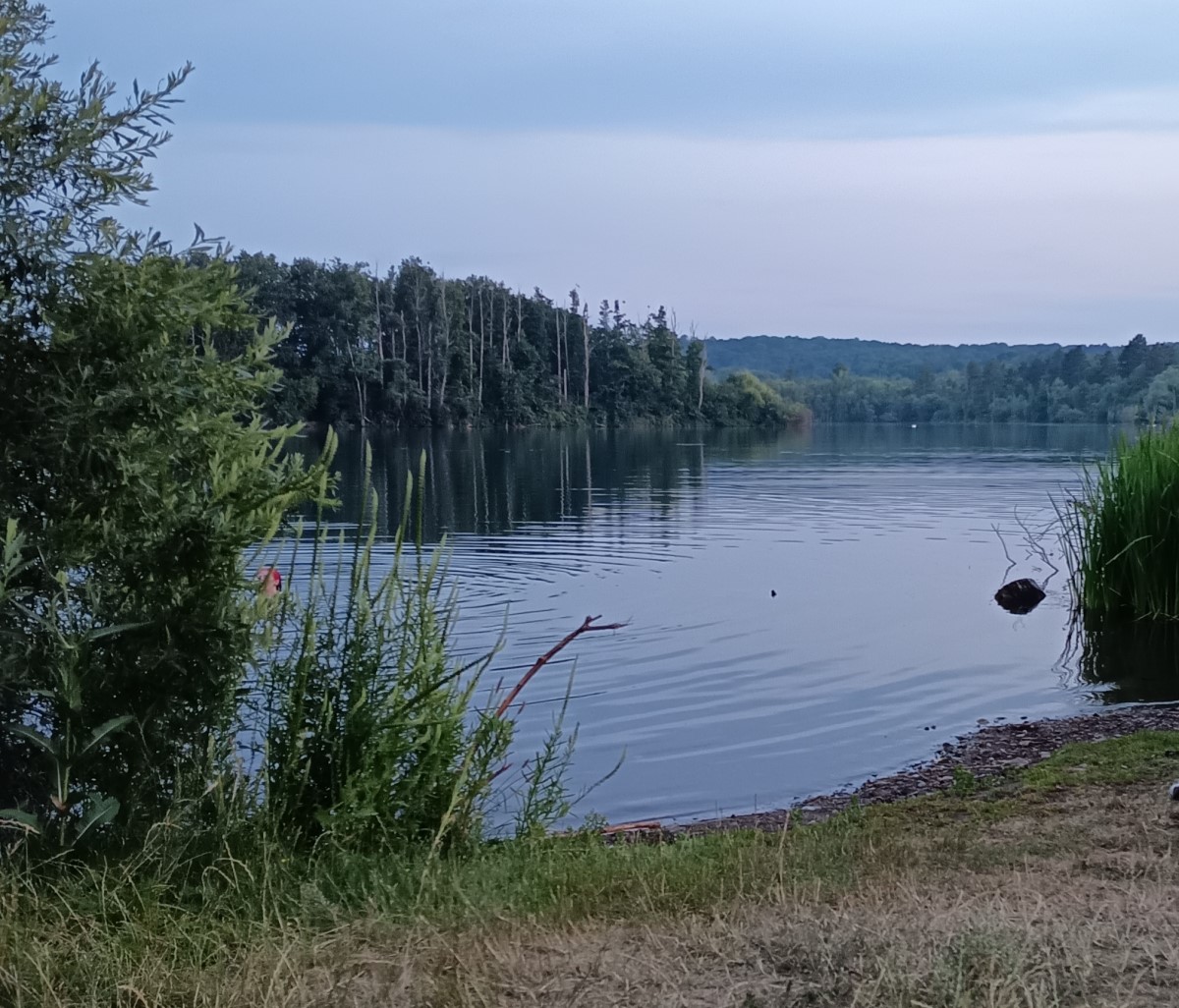 Wiedelaher See Der Wiedelaher See