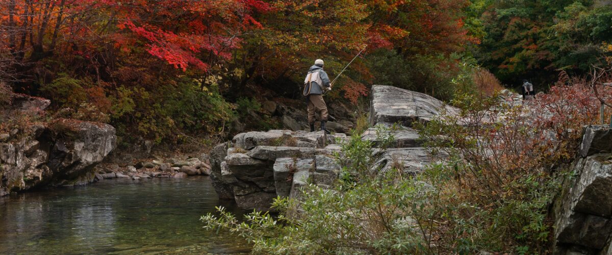 Ein Fluß mit Felsen auf denen ein Angler steht  Im hintergrund herbstlich gefärbte Bäume 