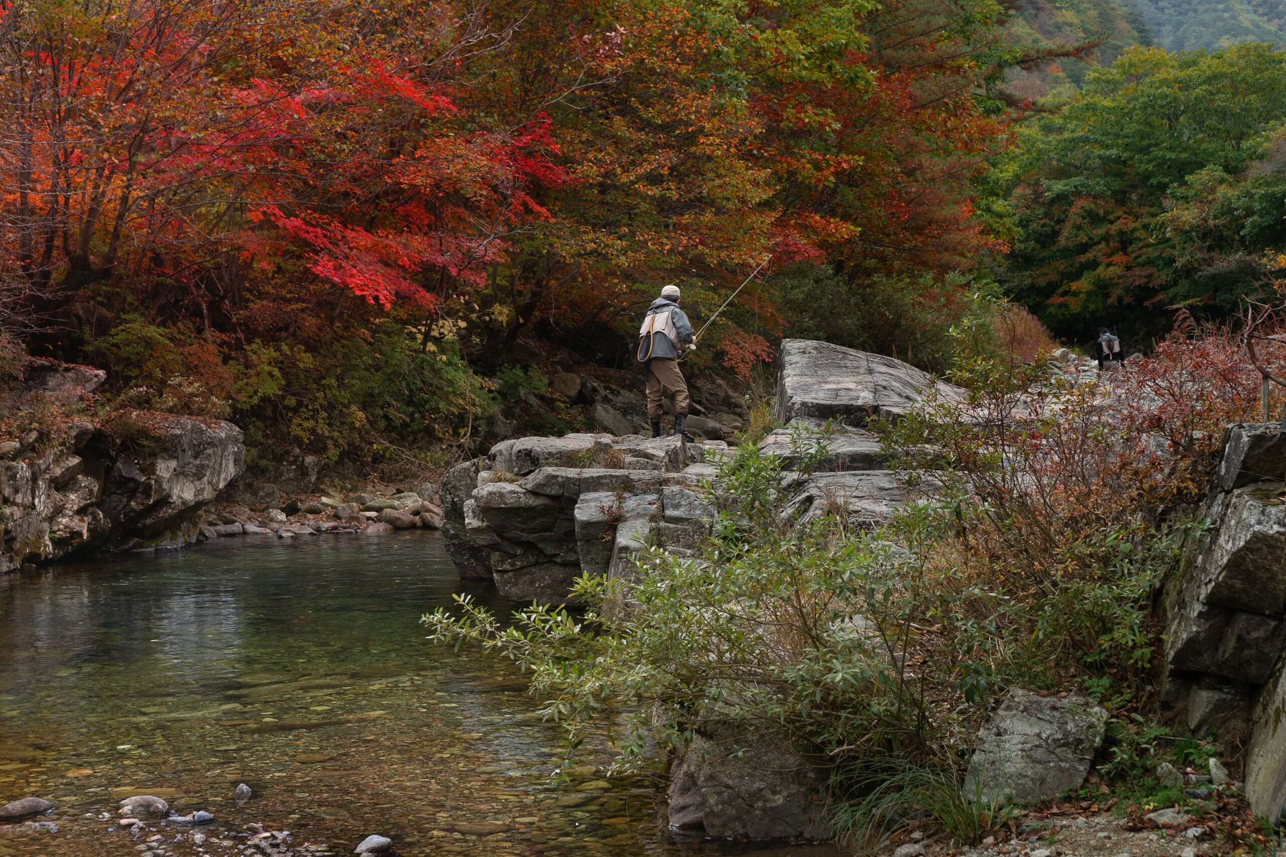 Ein Fluß mit Felsen auf denen ein Angler steht  Im hintergrund herbstlich gefärbte Bäume 